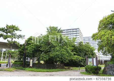 科羅納空無一人的海灘公園（夏季） 67338736