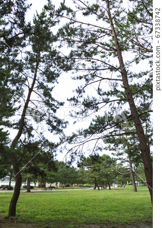 A beach park in the deserted sea of corona (summer) 67338742