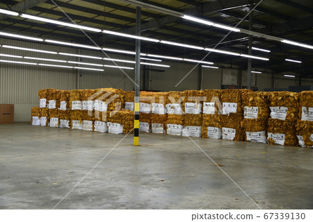 American Tobacco Factory 67339130