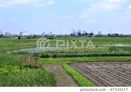 Okubo Agricultural Land A Ward, Saitama City Okubo Agricultural Land A Ward, Saitama City 67339157