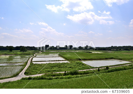 Akita Setabo, Saitama Prefecture 67339605