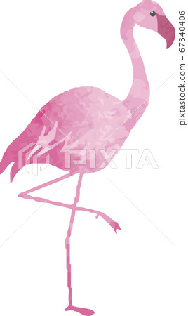 火烈鳥夏季熱帶熱帶水彩插圖素材集 67340406
