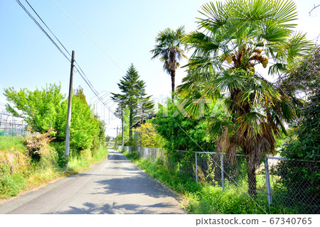 福岡縣美山市小野山川町1943-1年原三山市東山川小學於2016年3月31日關閉 福岡縣美山市小野山川町1943-1年原三山市東山川小學於2016年3月31日關閉 67340765