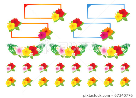 Hibiscus 67340776