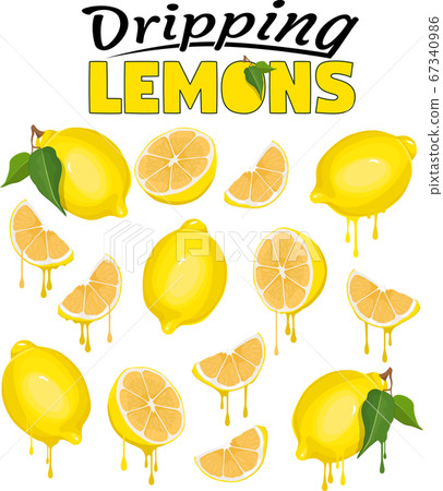 Dripping Lemons Vector Set 67340986