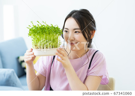 Beans cultivation Beans cultivation 67341060