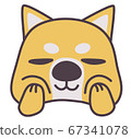 Cheeks Squeezed Shiba Inu Single Item 67341078