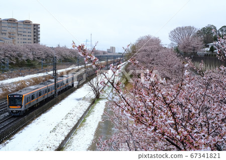 Narita Sky Access Line Access Limited Express Snow and Sakura Collaboration 67341821