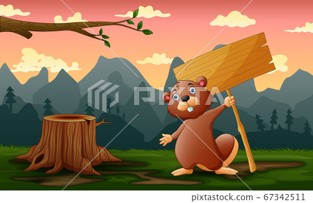A beaver holding wooden sign in the field A beaver holding wooden sign in the field 67342511