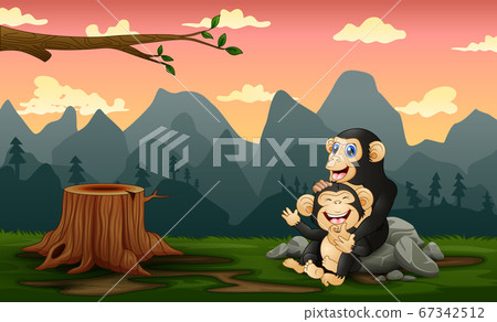 A chimpanzee with her cub in a bare forest A chimpanzee with her cub in a bare forest 67342512