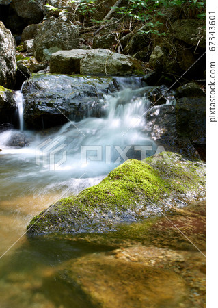 Rocks and moss, 67343601