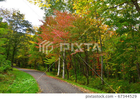 秋季北海道 67344529