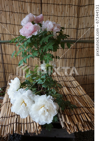 A bouquets of white and pink peonies on a place mat made of bamboo 67344531