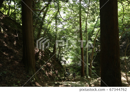 小野山溫泉 小野山溫泉 67344762