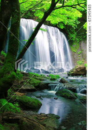 初夏的龍澤不動瀑布(福島縣豬苗代町) 初夏的龍澤不動瀑布(福島縣豬苗代町) 67345485