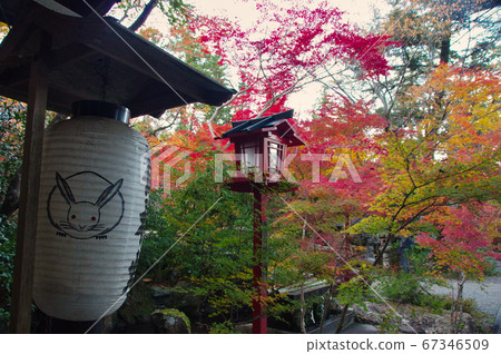 Hoyama Shrine at dusk Hoyama Shrine at dusk 67346509