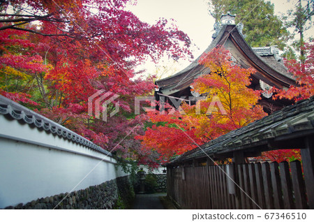 Hoyama Shrine at dusk Hoyama Shrine at dusk 67346510