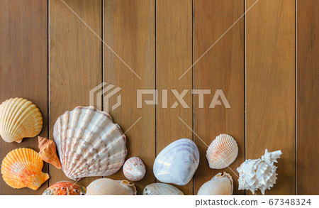 Top view of different sea shells on wooden background with copy space. Summer time concept Top view of different sea shells on wooden background with copy space. Summer time concept 67348324