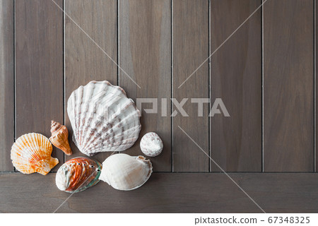 Top view of different sea shells on wooden background with copy space. Summer time concept Top view of different sea shells on wooden background with copy space. Summer time concept 67348325