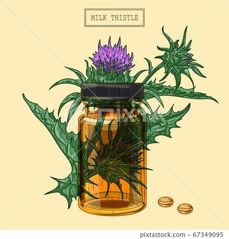 Medical milk thistle plant and glass vial and Medical milk thistle plant and glass vial and 67349095
