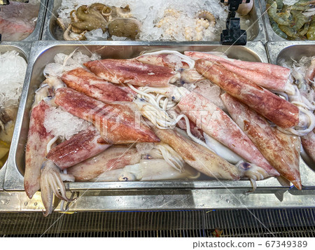 Pile of squids for sale at seafood stall in supermarket Pile of squids for sale at seafood stall in supermarket 67349389