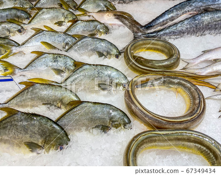 Frozen plaice fish and eel on ice at seafood store 67349434