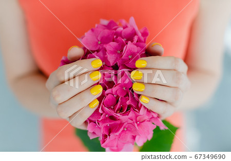 Women with manicured nails in yellow holding a flower Women with manicured nails in yellow holding a flower 67349690