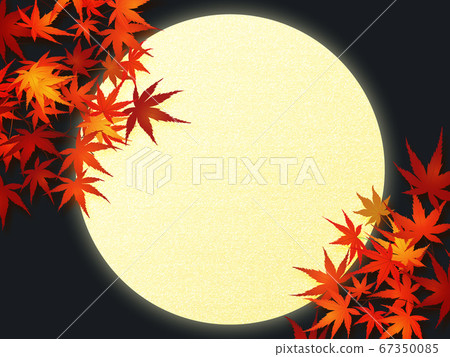 Autumn leaves Autumn leaves 67350085