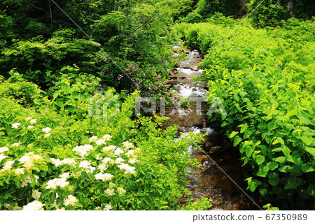 Yamagata Dewa Sanzan: Road to Mt. Yudono 67350989