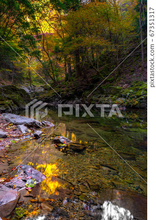 Akame 48 waterfalls colored in autumn leaves, (Nagasaka, Akame-cho, Nabari-shi, Mie) *The shooting position in the comment section of the work Akame 48 waterfalls colored in autumn leaves, (Nagasaka, Akame-cho, Nabari-shi, Mie) *The shooting position in the comment section of the work 67351317