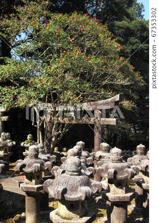 Red Karako of Tokoji Temple 67353302