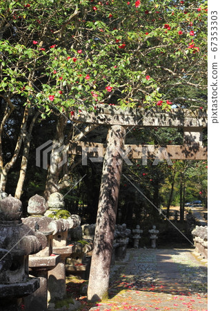 德光寺的紅色卡拉科 67353303