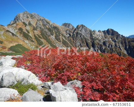 羅文的秋天劍澤秋葉在蔚藍的天空中閃耀 67353651
