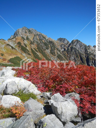Autumn Kensawa autumn leaves of rowan shining in the blue sky 67353652