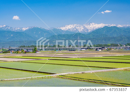 (Toyama Prefecture) Paddy fields and the Northern Alps/Gotateyama mountain range seen from Irzen PA 67353837
