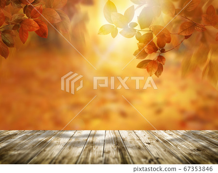 Autumn background Autumn background 67353846