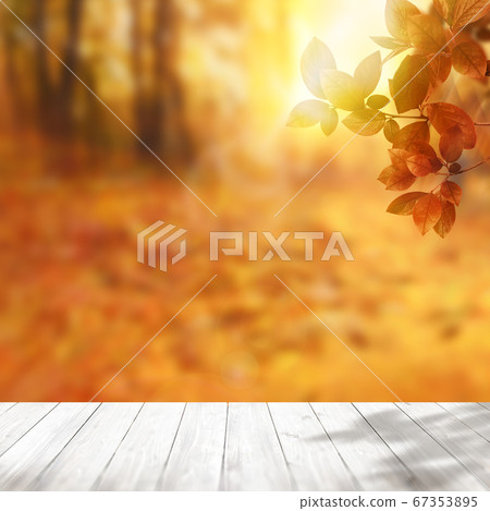 Autumn image background Autumn image background 67353895