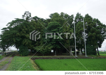 Furukie Castle Furukie Castle 67353996