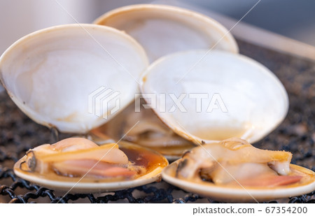 Charcoal grill BBQ, bbq, charcoal grill, net grill, bincho charcoal, seven wheels, camping, meal 67354200