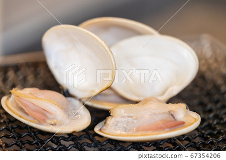 Charcoal grill BBQ, bbq, charcoal grill, net grill, bincho charcoal, seven wheels, camping, meal 67354206