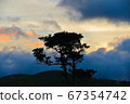 Clouds and trees at sunset 67354742