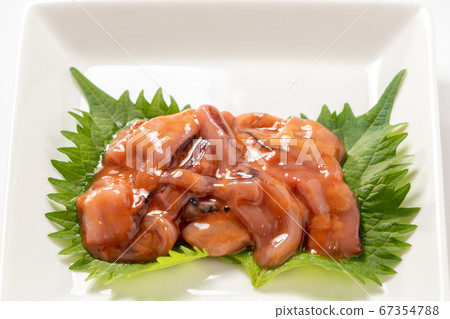 在大葉子（青森野葉子）上，魷魚被醃製了。 （白色背景） 67354788