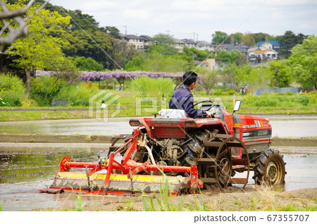 用拖拉機攪動稻田 用拖拉機攪動稻田 67355707