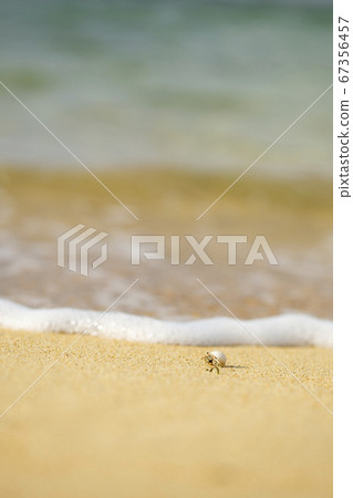 在西表島上沿著海灘散步的寄居蟹 在西表島上沿著海灘散步的寄居蟹 67356457