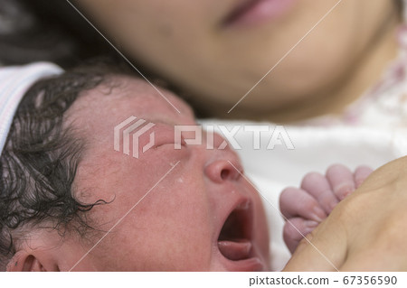 剛出生的母親和母親 67356590