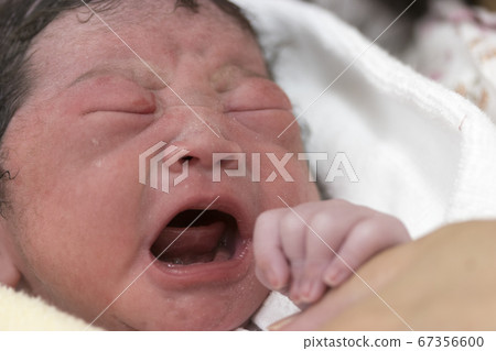 剛出生的嬰兒剛出生後就哭了 剛出生的嬰兒剛出生後就哭了 67356600