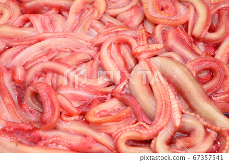 在韓國是美味的食物。 K食物，韓國食物，烹飪， 67357541