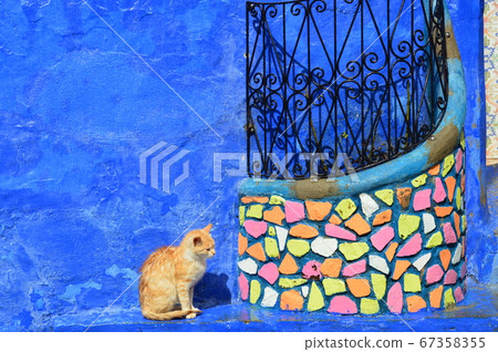 Chewane的貓 67358355