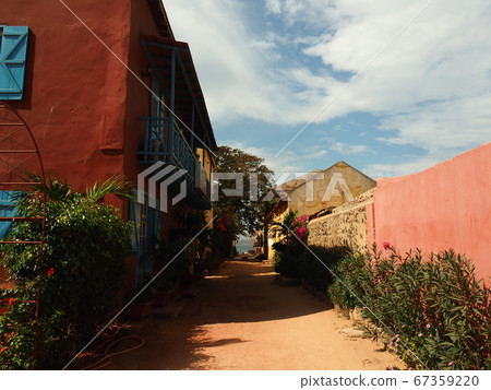 塞內加爾的戈爾島 67359220