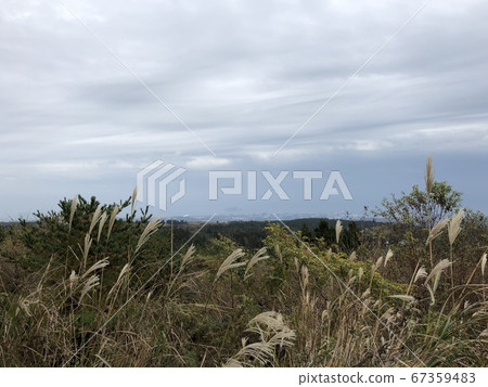 A pampering landscape A pampering landscape 67359483